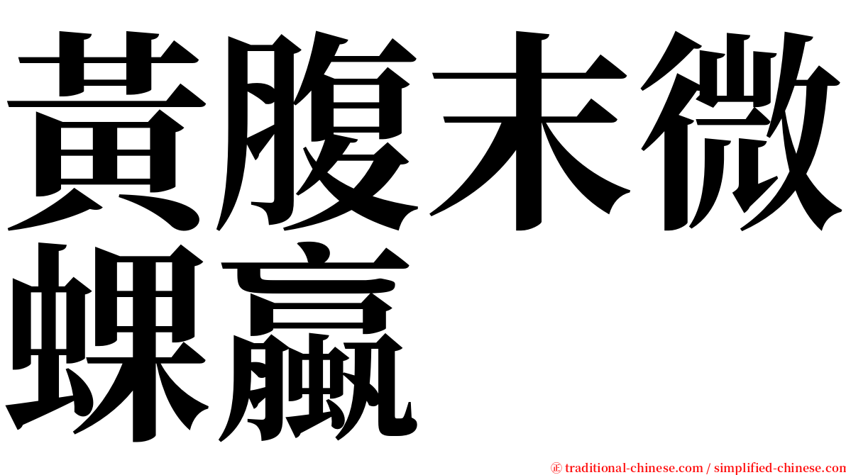 黃腹末微蜾蠃 serif font