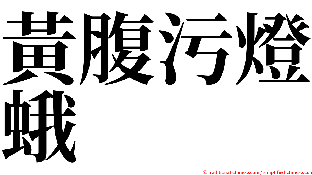 黃腹污燈蛾 serif font