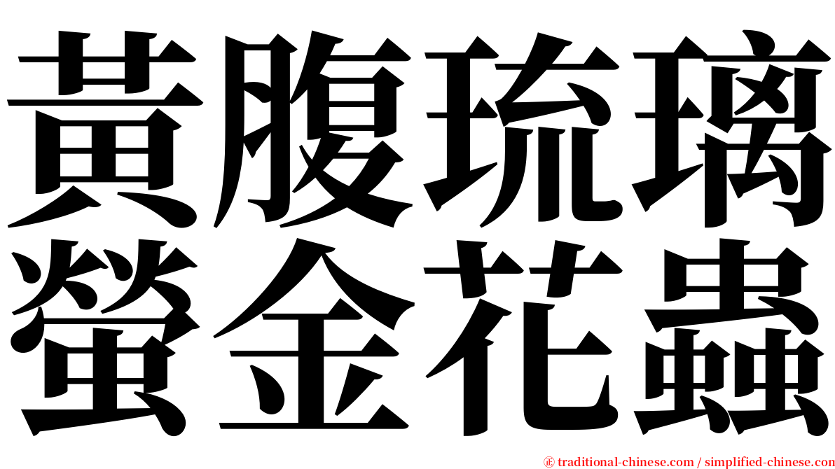 黃腹琉璃螢金花蟲 serif font