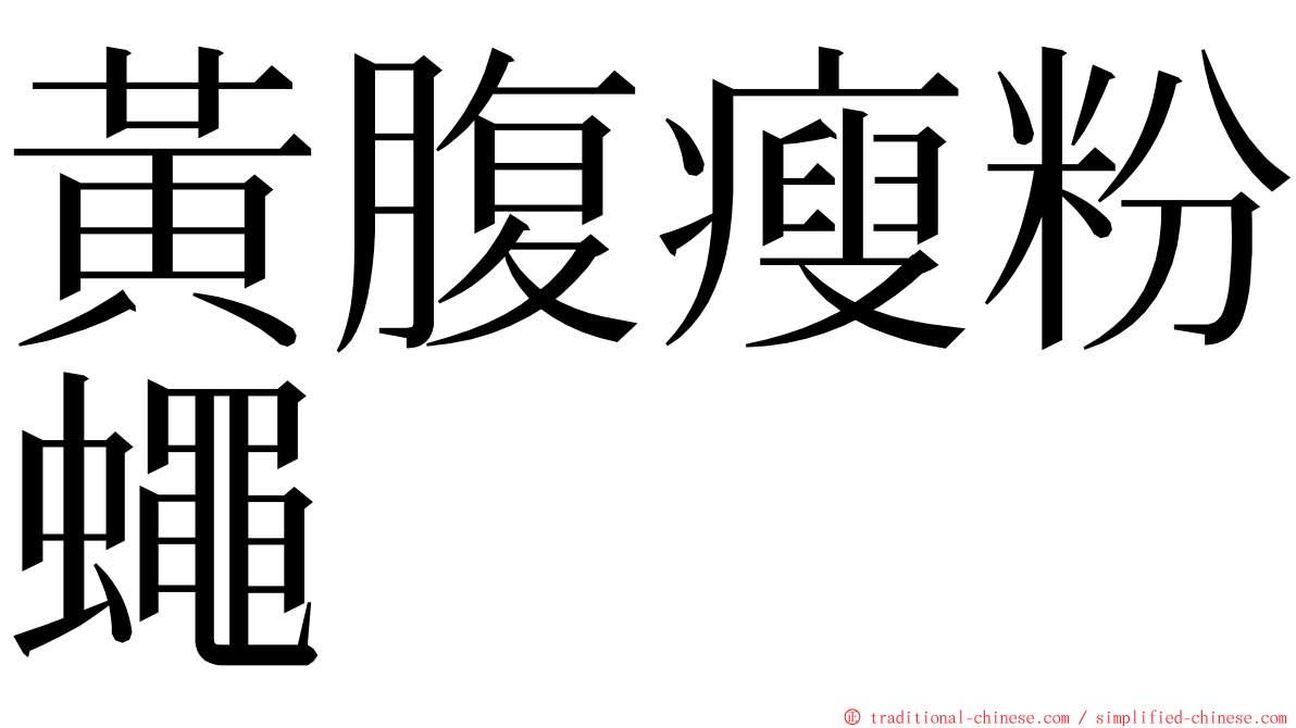 黃腹瘦粉蠅 ming font