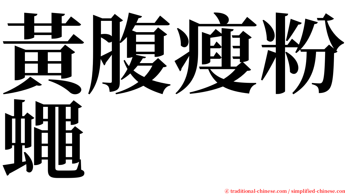 黃腹瘦粉蠅 serif font