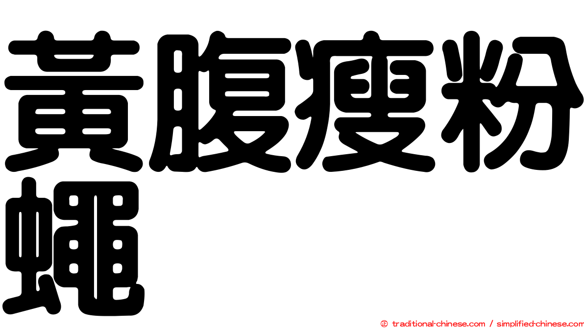 黃腹瘦粉蠅