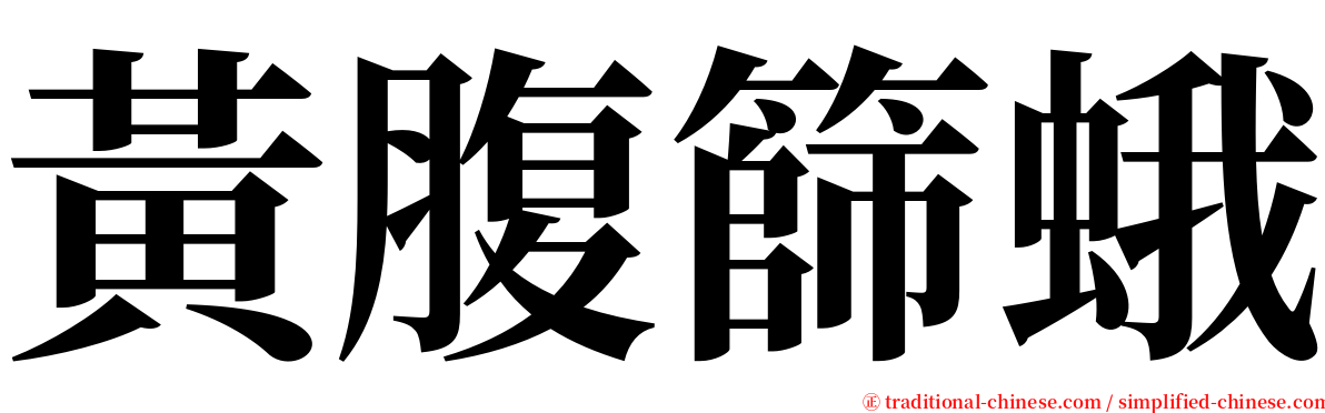 黃腹篩蛾 serif font