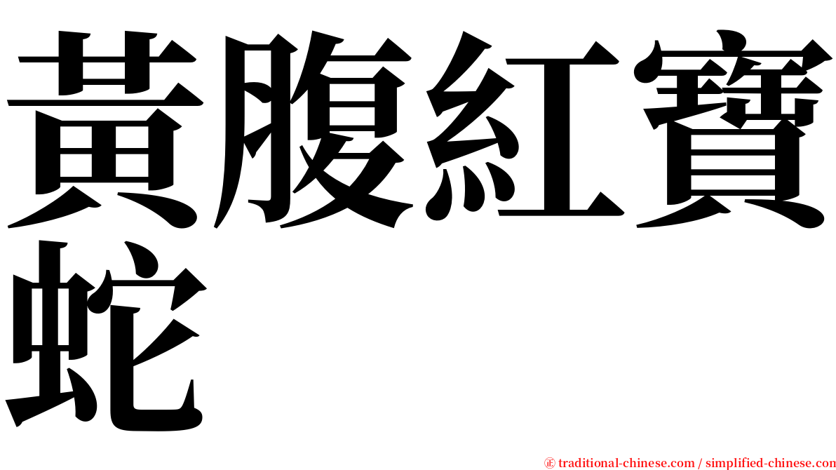 黃腹紅寶蛇 serif font