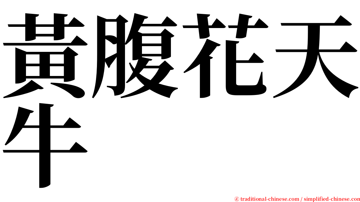 黃腹花天牛 serif font