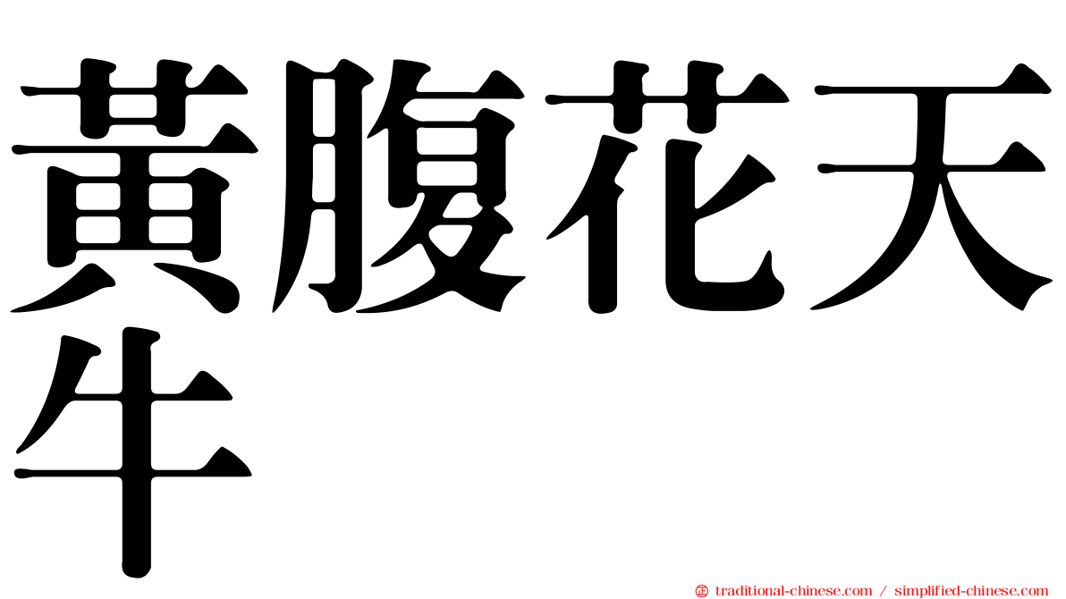 黃腹花天牛
