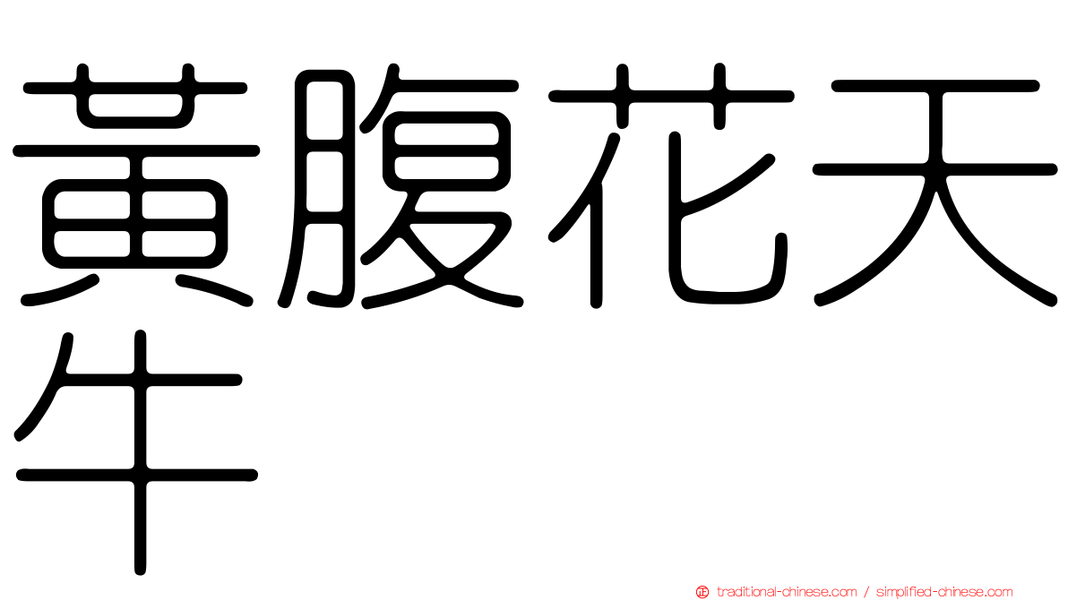 黃腹花天牛