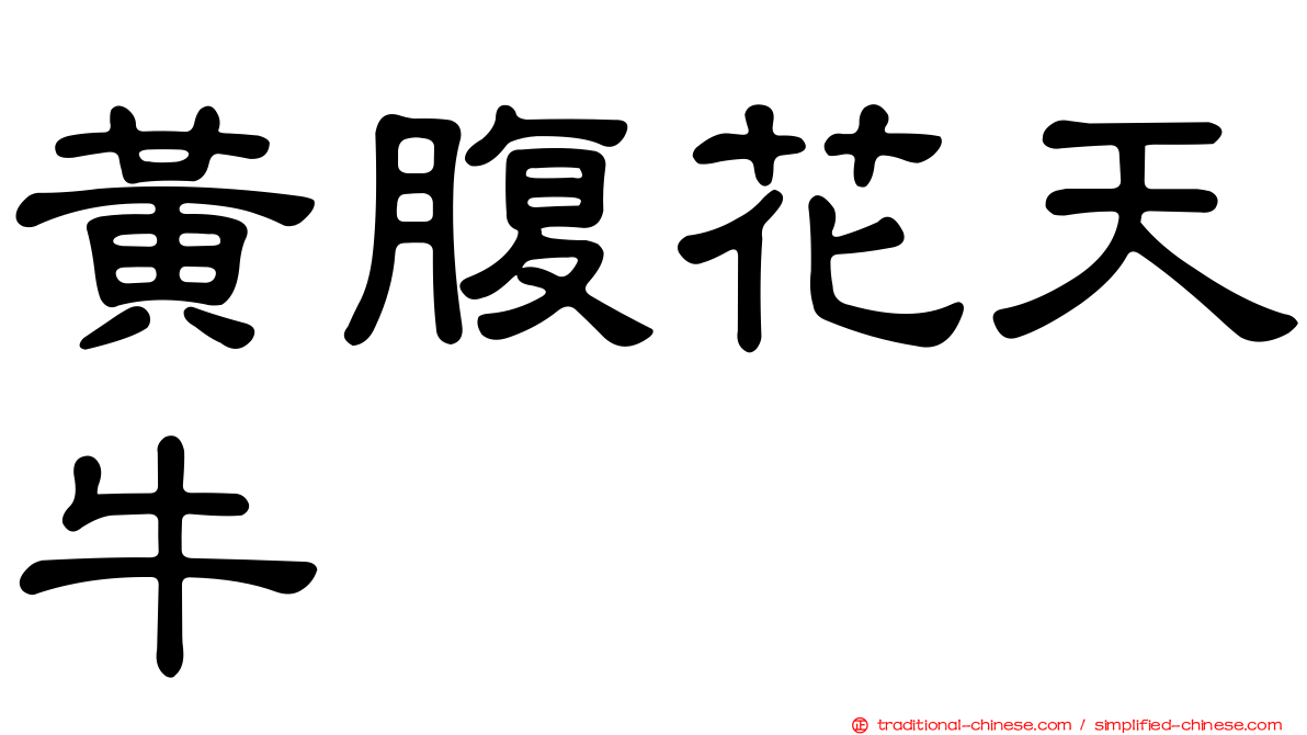 黃腹花天牛