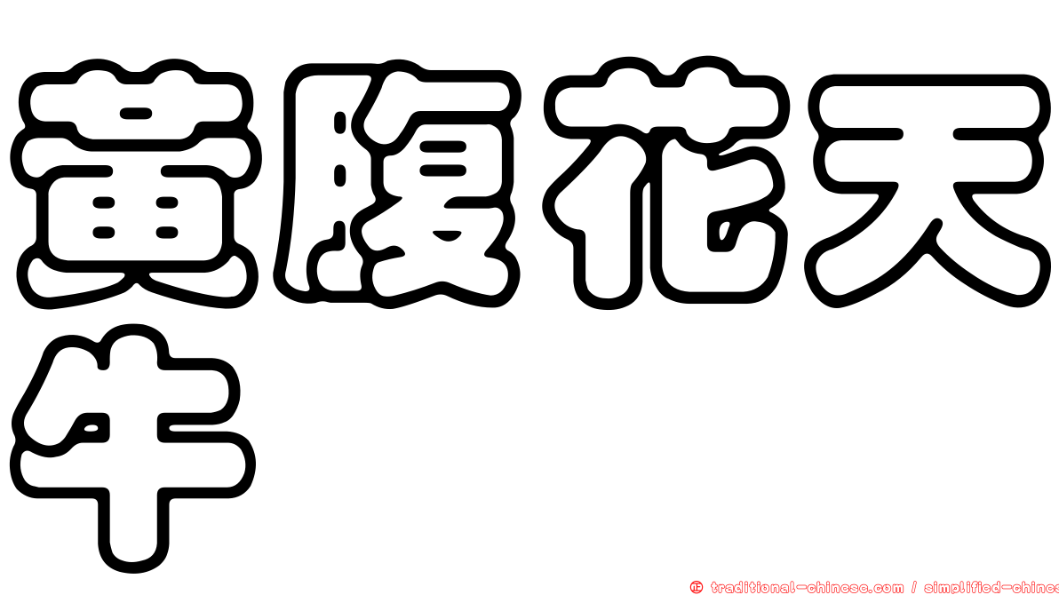 黃腹花天牛