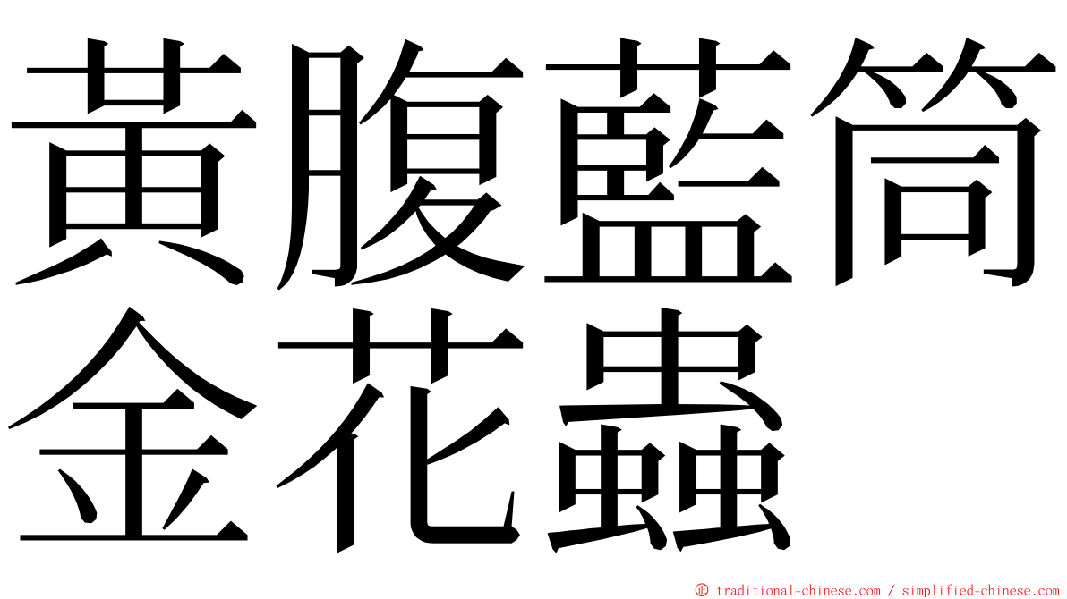 黃腹藍筒金花蟲 ming font