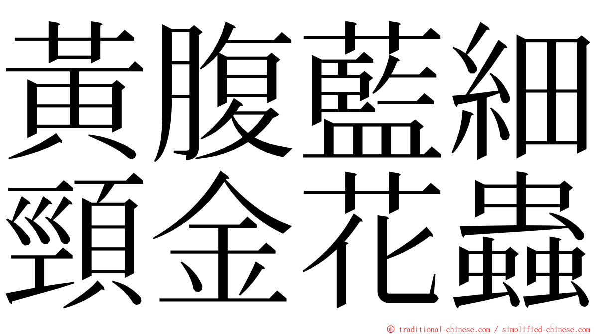 黃腹藍細頸金花蟲 ming font