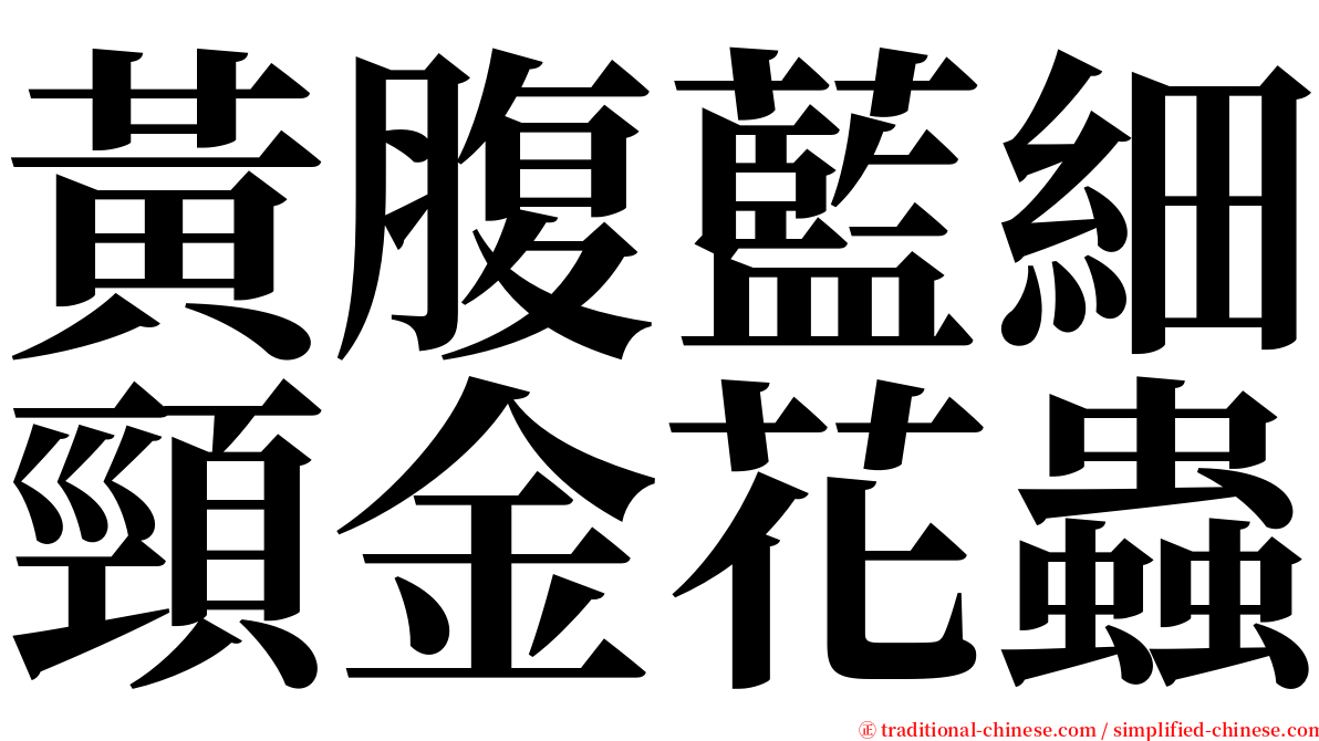 黃腹藍細頸金花蟲 serif font