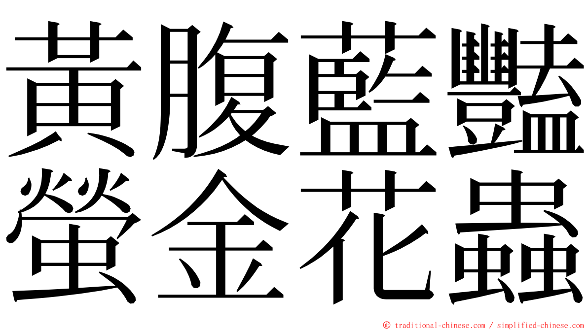 黃腹藍豔螢金花蟲 ming font