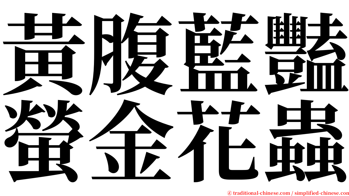 黃腹藍豔螢金花蟲 serif font