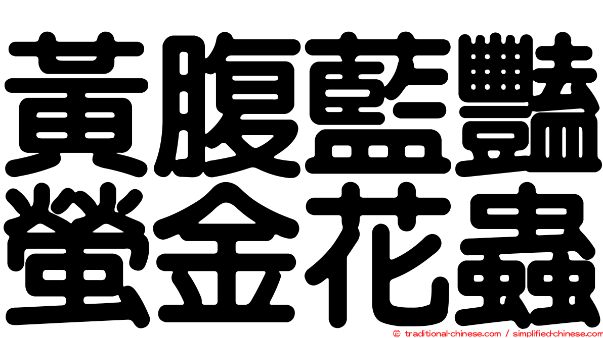 黃腹藍豔螢金花蟲