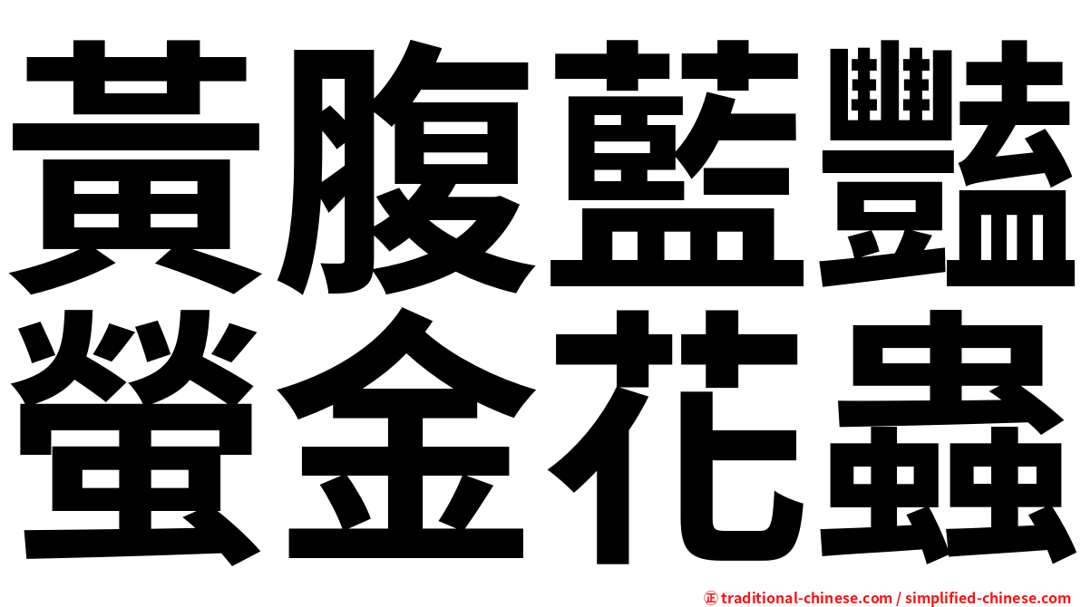 黃腹藍豔螢金花蟲