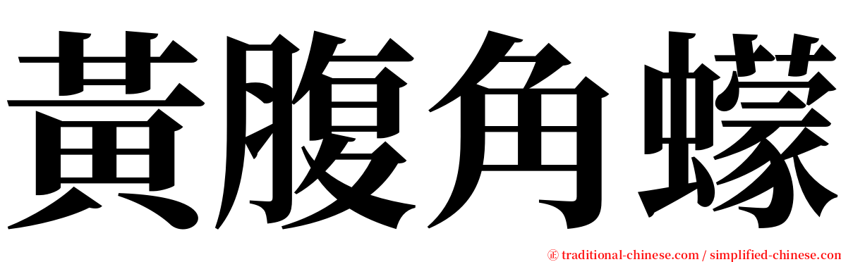 黃腹角蠓 serif font