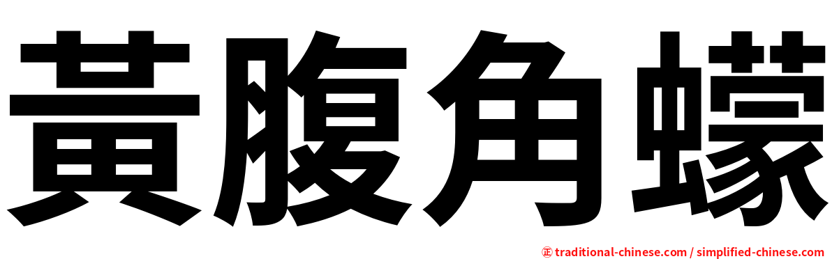 黃腹角蠓