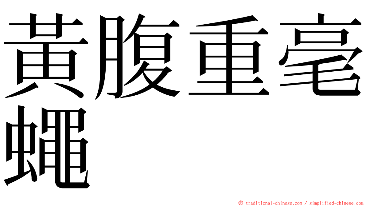 黃腹重毫蠅 ming font