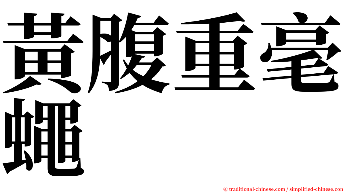 黃腹重毫蠅 serif font