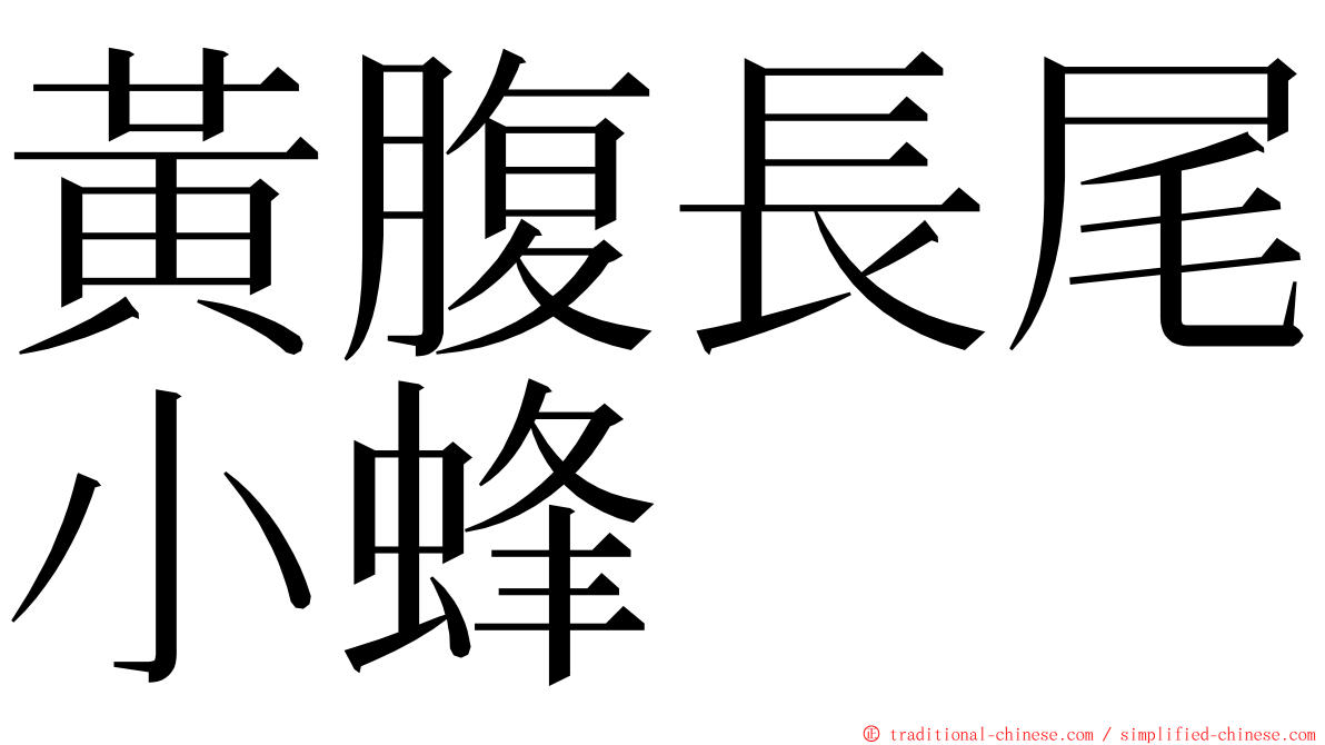 黃腹長尾小蜂 ming font