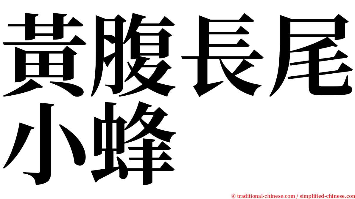 黃腹長尾小蜂 serif font