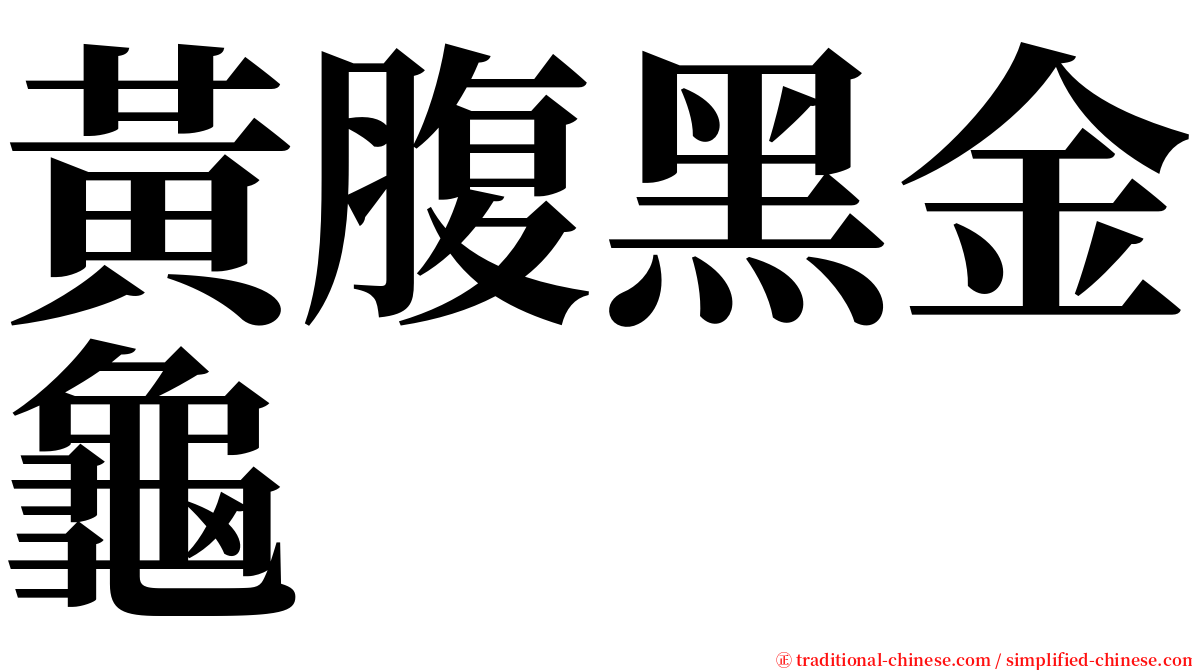 黃腹黑金龜 serif font