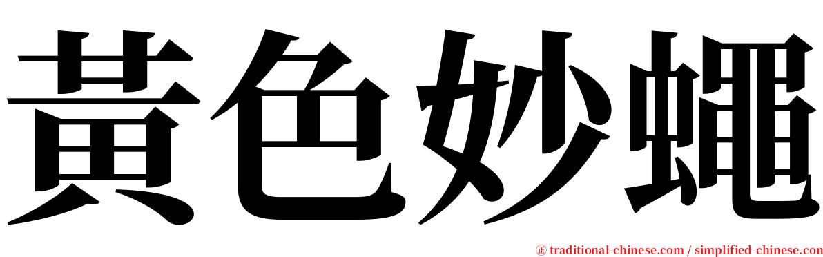 黃色妙蠅 serif font