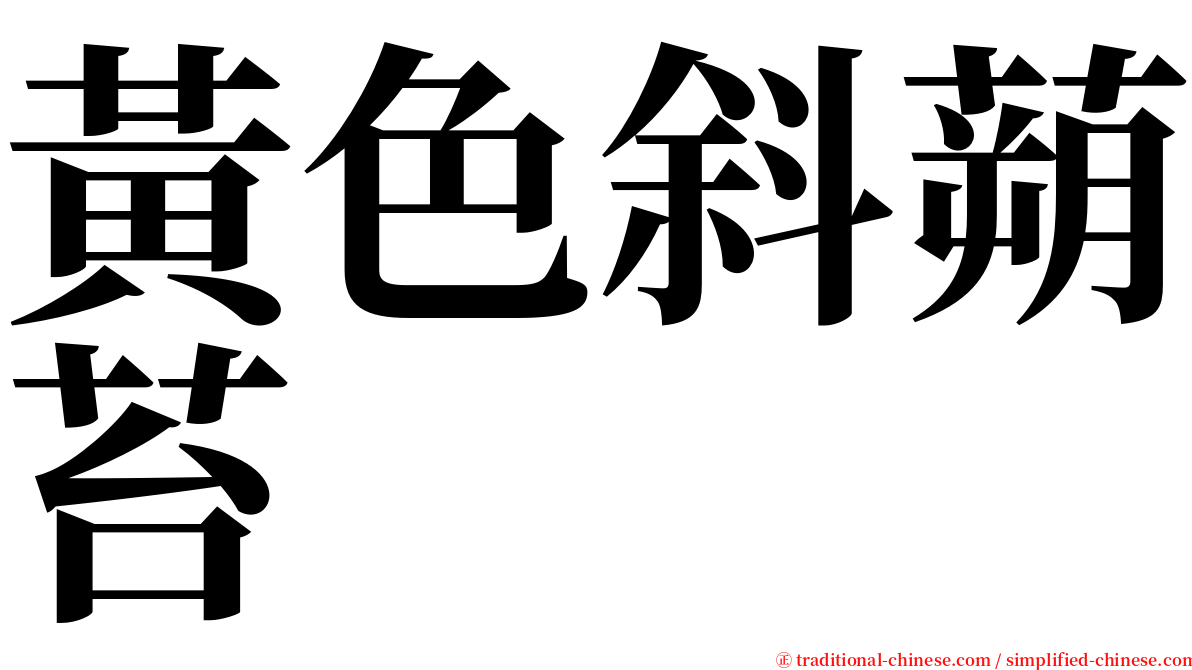 黃色斜蒴苔 serif font