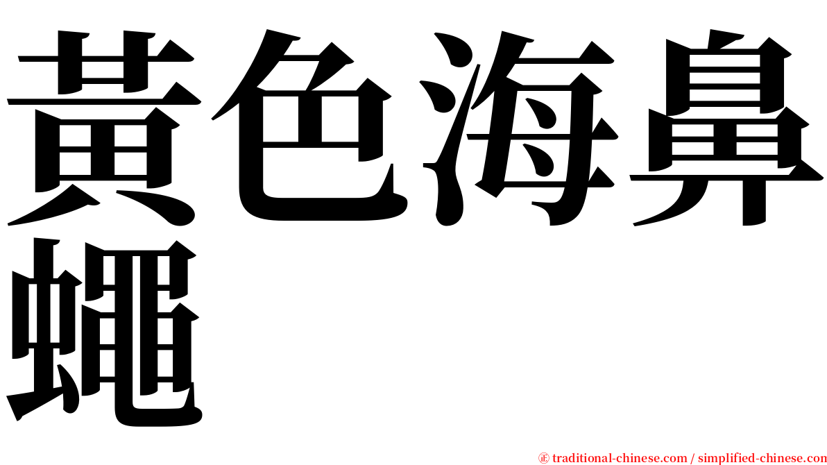 黃色海鼻蠅 serif font