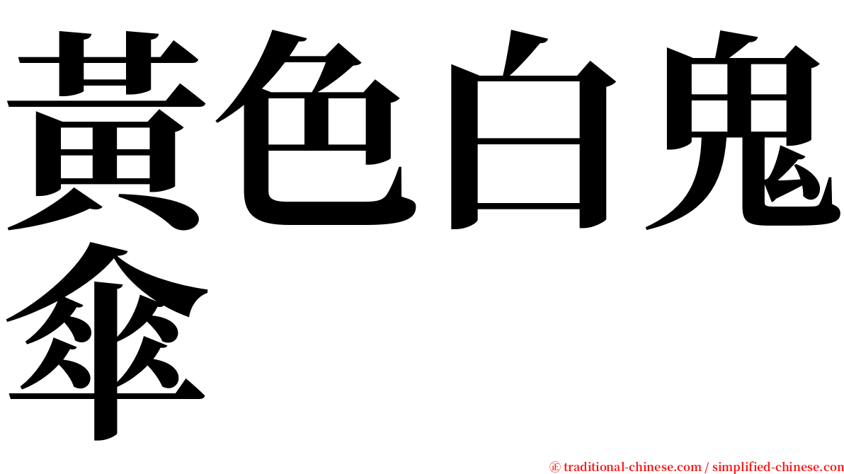 黃色白鬼傘 serif font