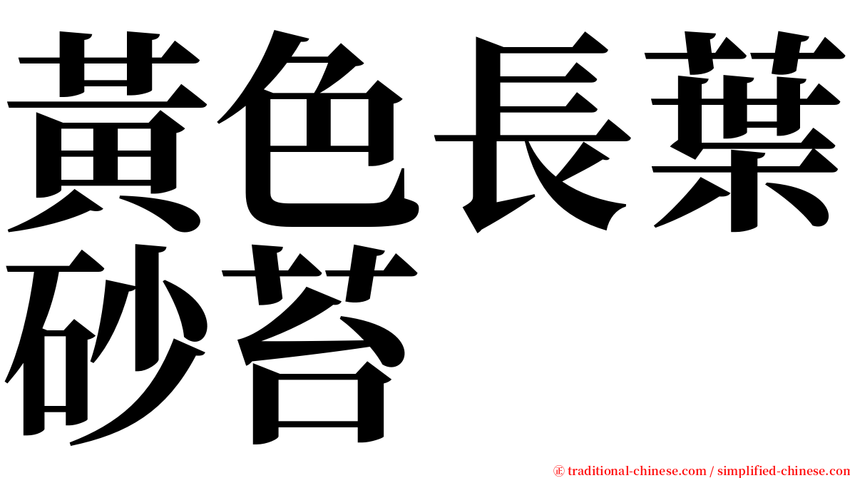 黃色長葉砂苔 serif font