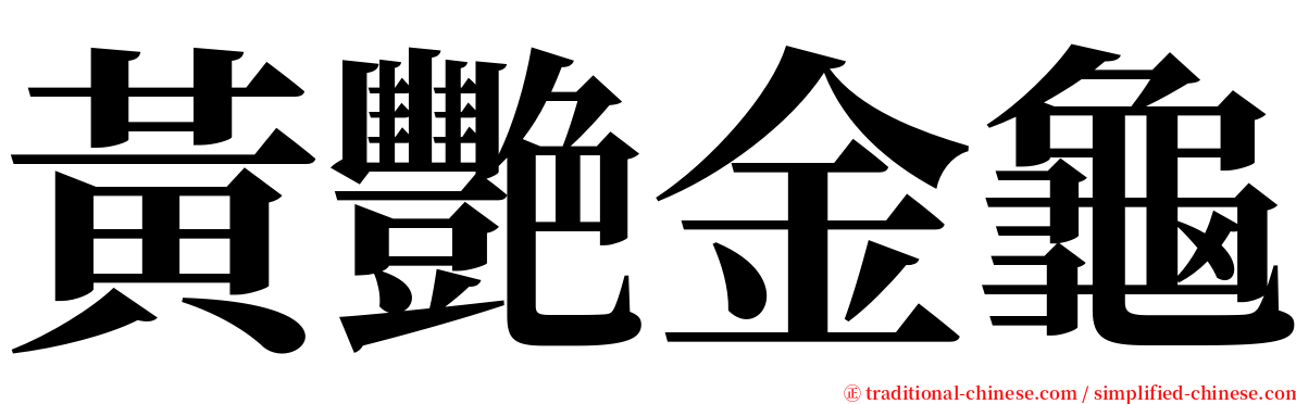 黃艷金龜 serif font