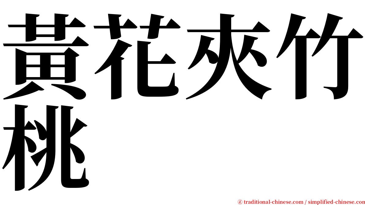 黃花夾竹桃 serif font