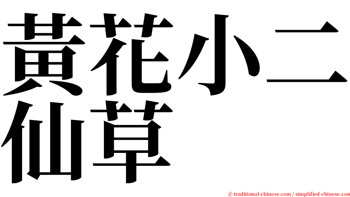 黃花小二仙草 serif font