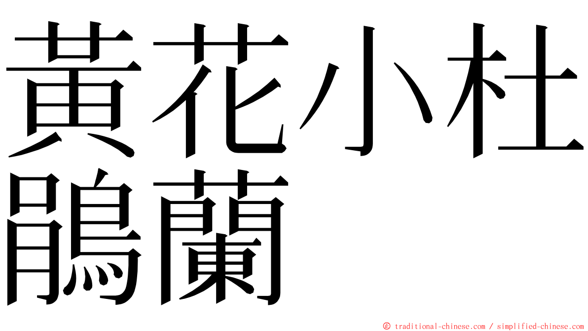 黃花小杜鵑蘭 ming font