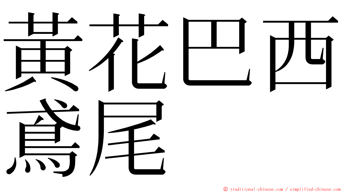 黃花巴西鳶尾 ming font