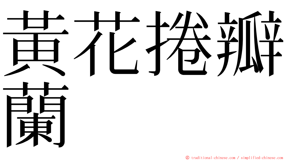 黃花捲瓣蘭 ming font