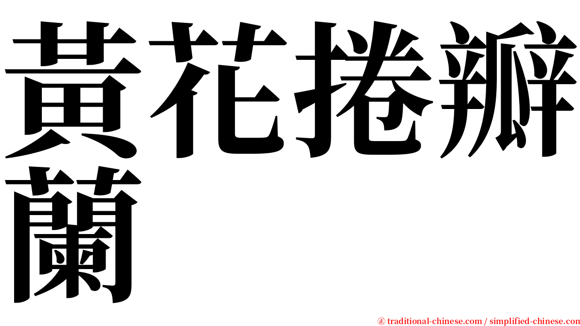 黃花捲瓣蘭 serif font