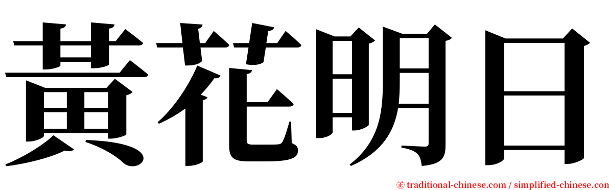 黃花明日 serif font