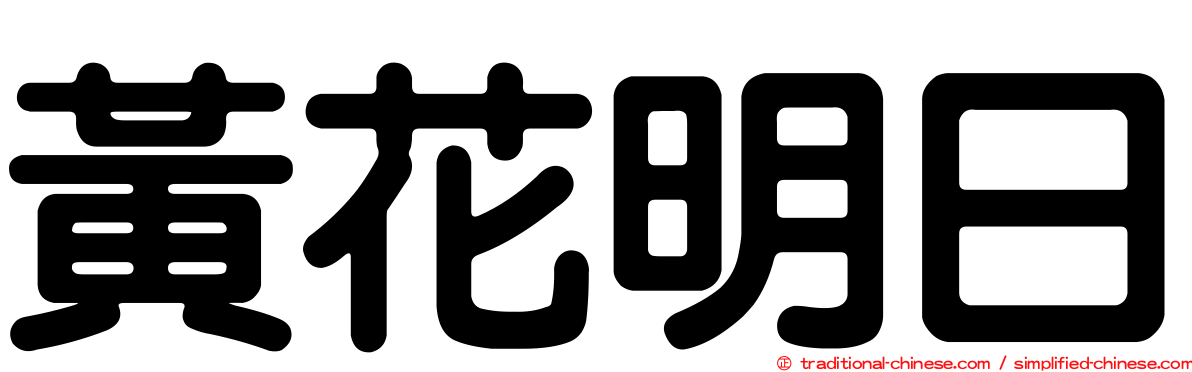 黃花明日