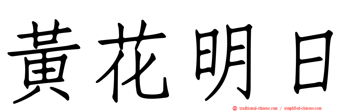 黃花明日