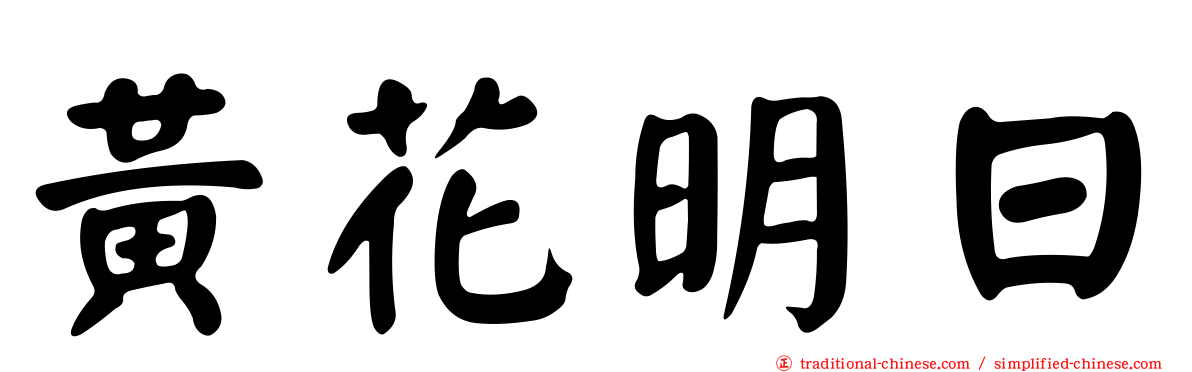 黃花明日