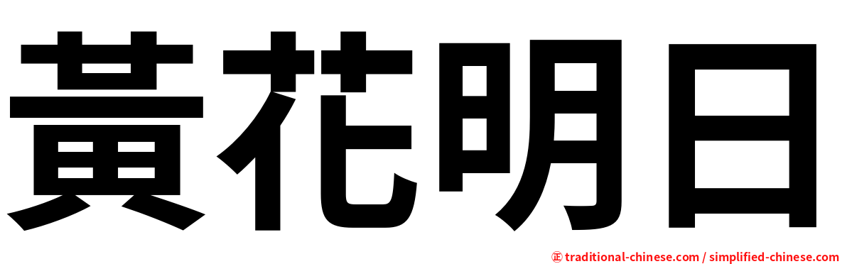 黃花明日