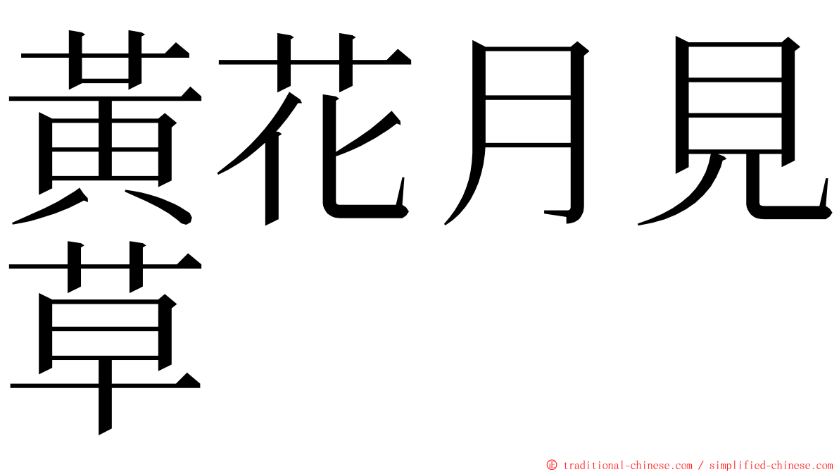 黃花月見草 ming font