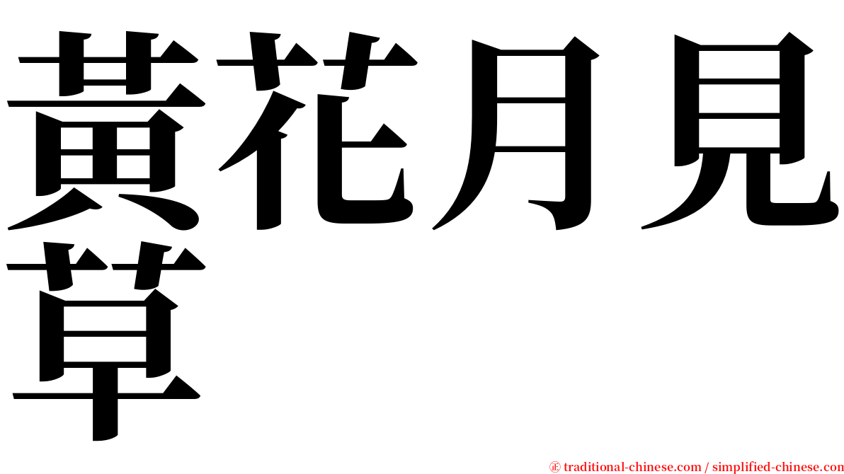 黃花月見草 serif font