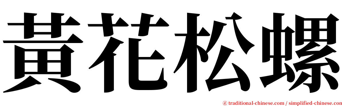 黃花松螺 serif font