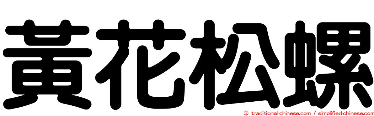 黃花松螺