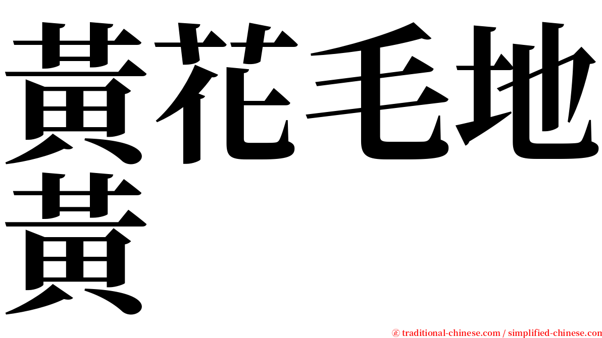 黃花毛地黃 serif font