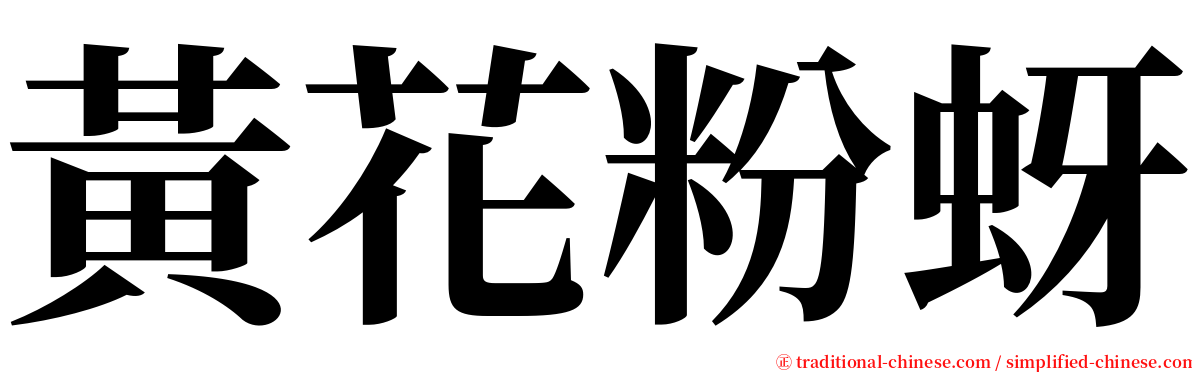 黃花粉蚜 serif font